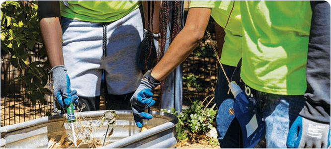 Two teens maintaining plants in planter box